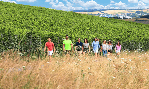 AmaWaterways Guided Hiking Tours Enrichment 0.png